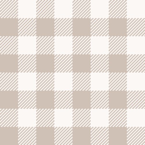 seamless buffalo check pattern in brown and white vector image