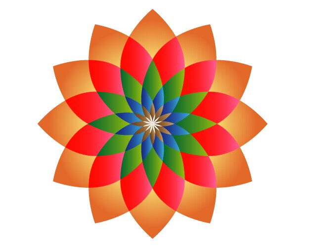 Lily flower on white background Vector Image