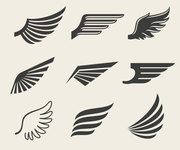 Wing Icons Collection Vector Image