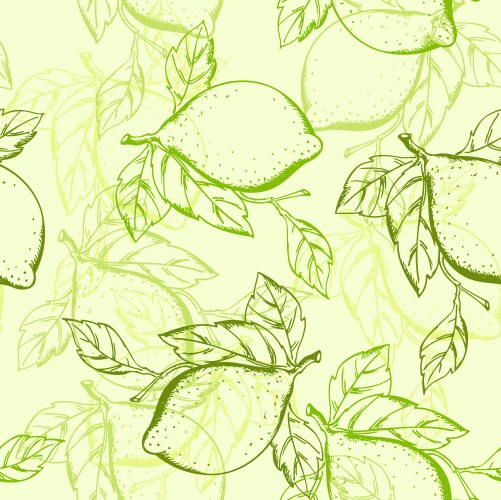 Citrus seamless pattern Royalty Free Vector Image