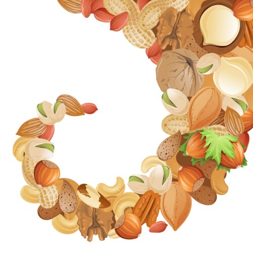 Nuts Royalty Free Vector Image - VectorStock
