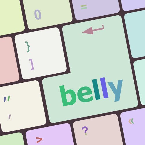 Belly button on computer pc keyboard key vector image