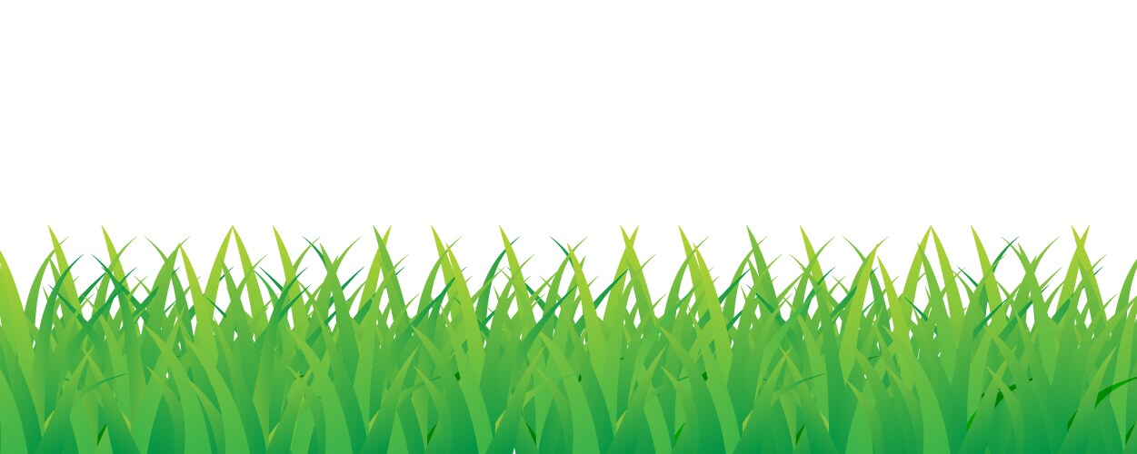 Green grass border Royalty Free Vector Image - VectorStock