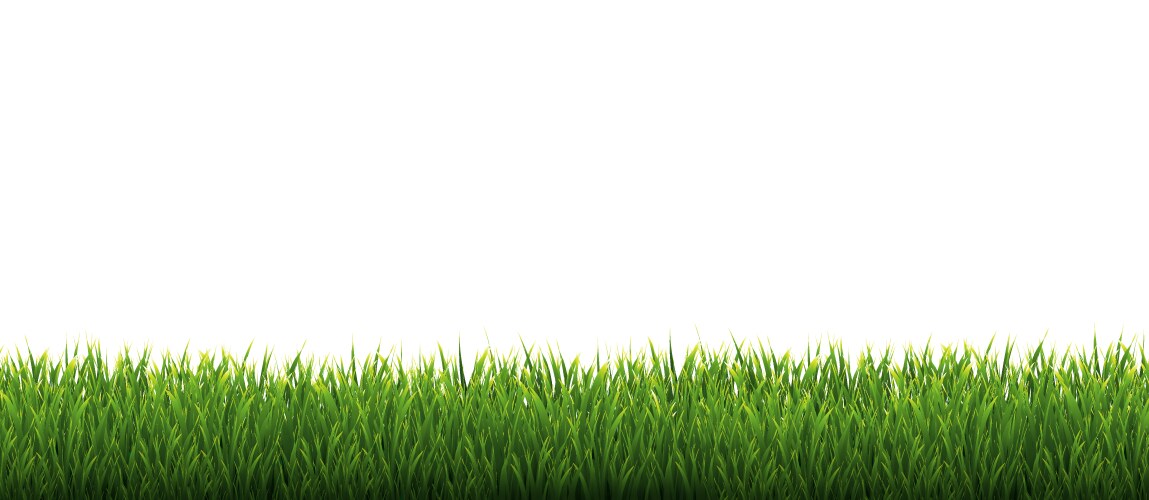 Green grass border set on white background Vector Image