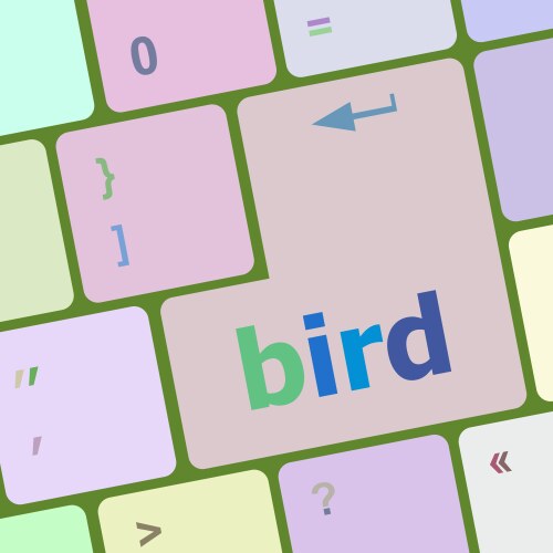 button keyboard key keypad with bird word vector image vector image