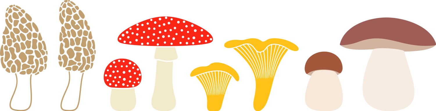 Mushroom vector image