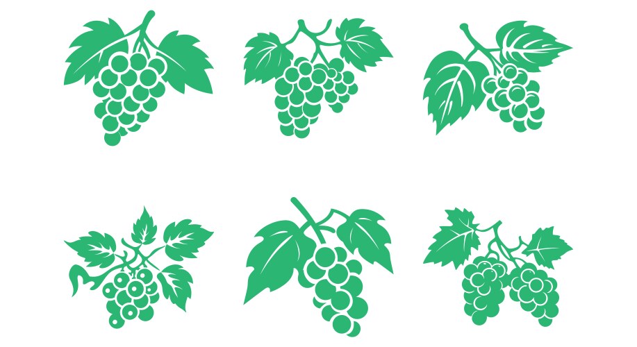 Grape bunches clip art Royalty Free Vector Image