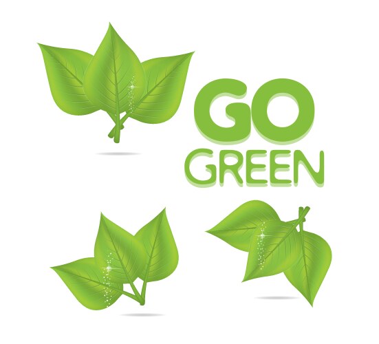 Green eco leaves Royalty Free Vector Image - VectorStock