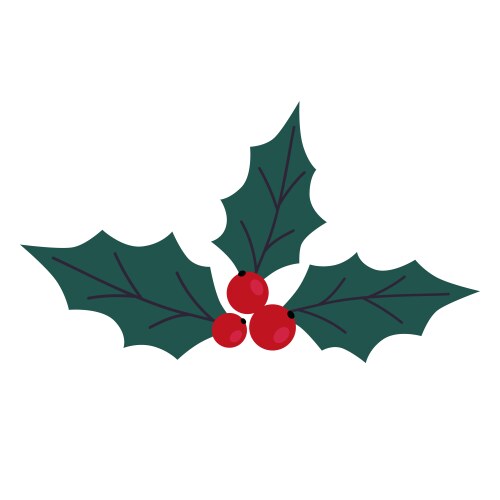 Hand drawn christmas holly with leaves Vector Image