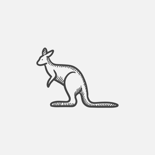 Kangaroo drawing Vector Images & Graphics for Commercial Use | VectorStock