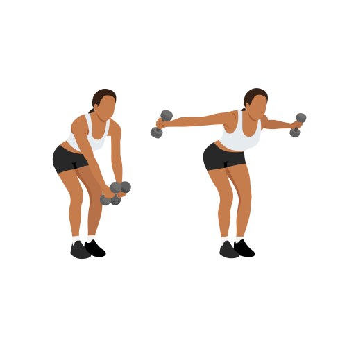 Woman doing dumbbell bent over reverse flyes vector image