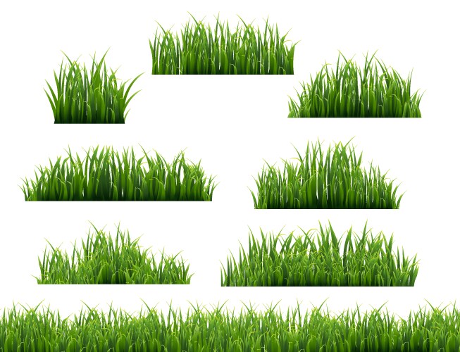 Green grass set isolated on white background Vector Image