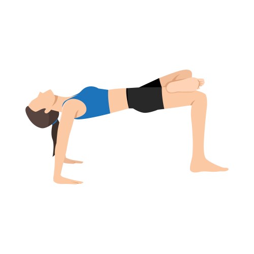 Woman Doing One Legged Reverse Table Top Pose Vector Image