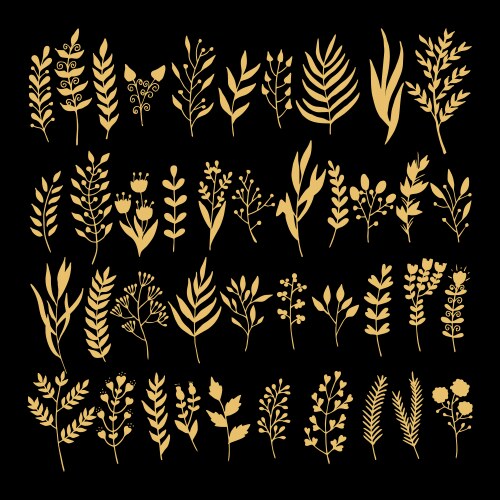 Floral elements in doodle style Royalty Free Vector Image