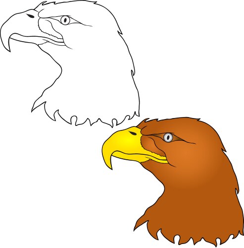 Eagle head design Royalty Free Vector Image - VectorStock