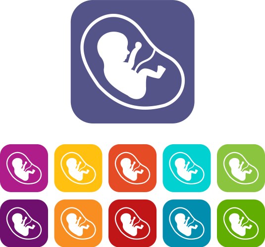 Ultrasound of baby in mother womb icon digital Vector Image