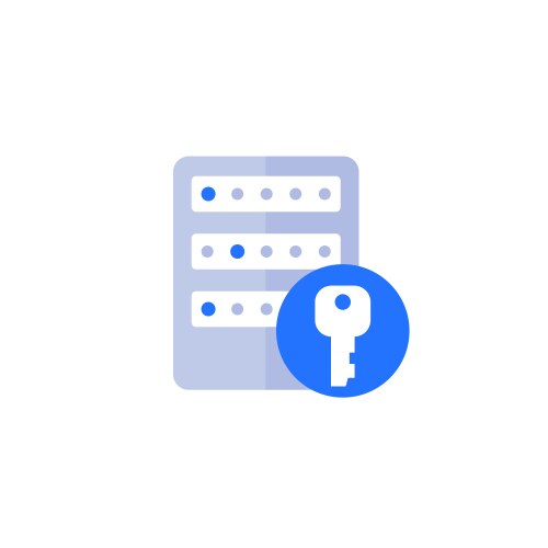 Server and a key access control icon vector image