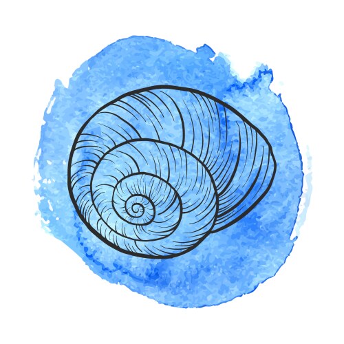 Seashell doodle concept Royalty Free Vector Image
