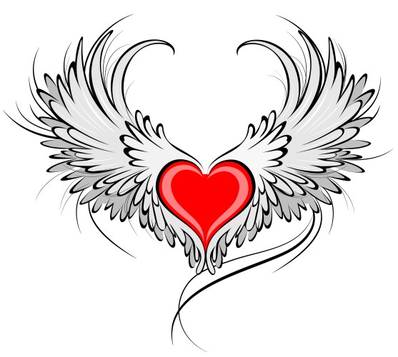Graceful Angel Heart Vector Image