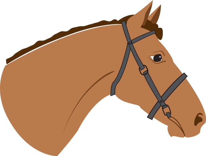 horse vector