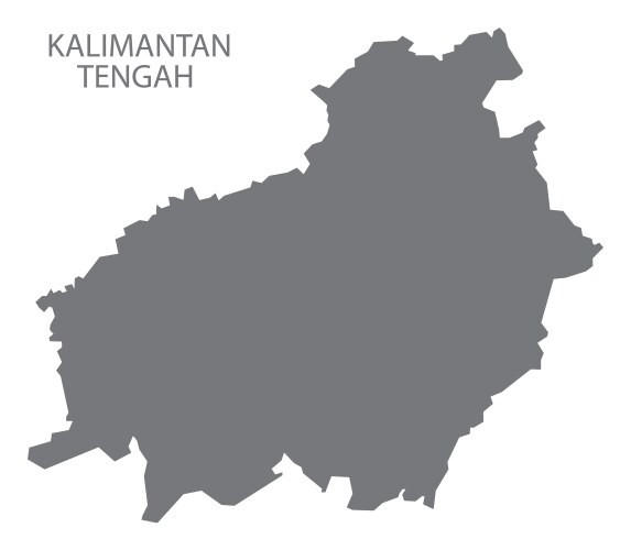 kalimantan tengah indonesia map grey vector image vector image