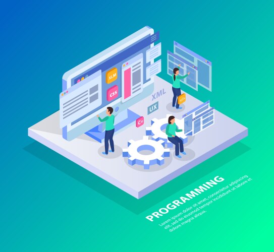 Programming website isometric background vector image