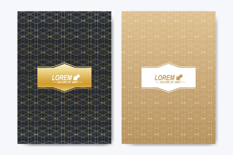 modern template for brochure leaflet vector