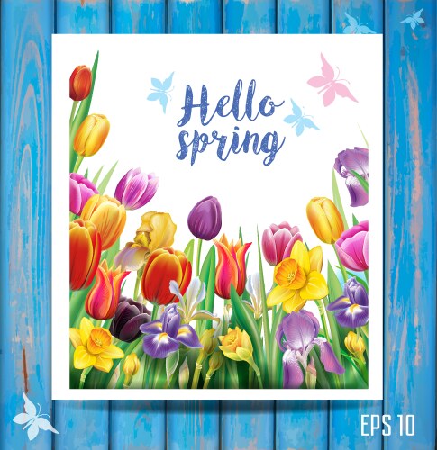 Banner with multicolor spring flowers Royalty Free Vector