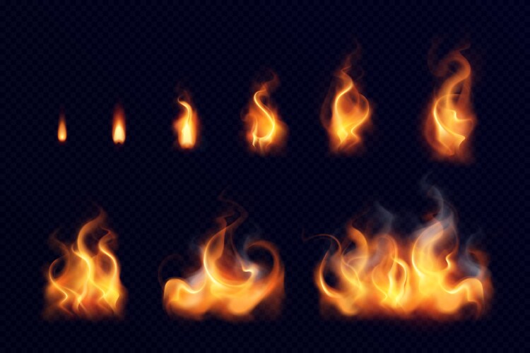 Realistic burning fire flame Royalty Free Vector Image