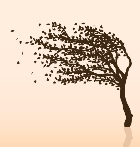 wind and tree vector