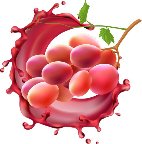 Red wine splash collection Royalty Free Vector Image
