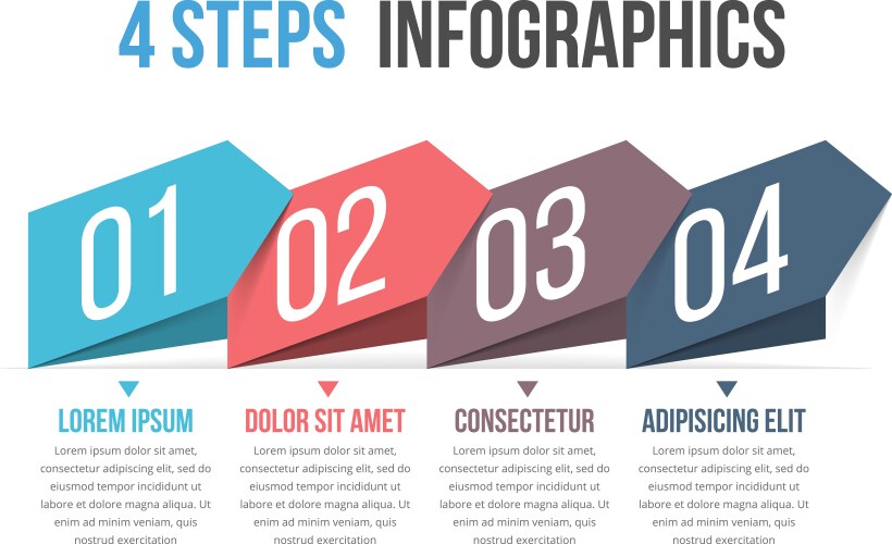 four steps infographics vector image