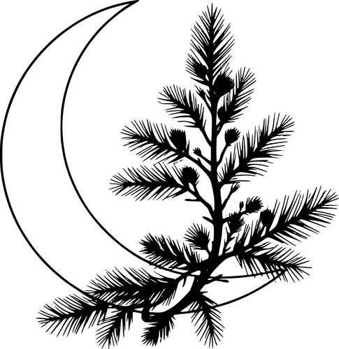 Pine Branch Crescent Moon Silhouette Vector Image