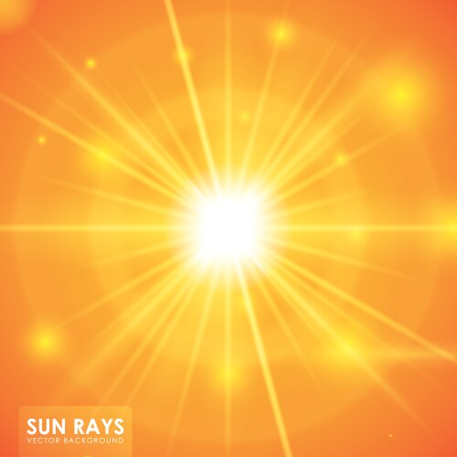 Sun light ray on transparent background beams Vector Image
