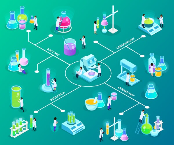 Vaccines development isometric flowchart vector image