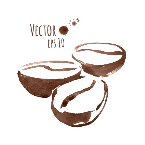 Hand sketched coffee beans Royalty Free Vector Image