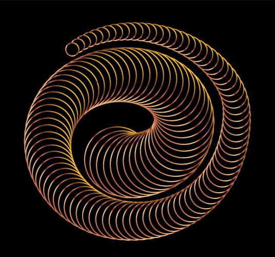 Spiral the dynamic shape of parallel lines vector image