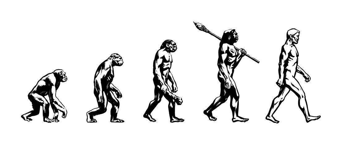 evolution of man vector