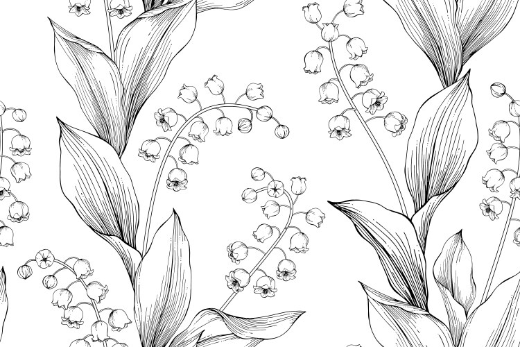 Lily valley flower and leaf hand drawn Royalty Free Vector