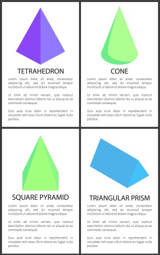 tetrahedron cone square pyramid triangular prism vector image