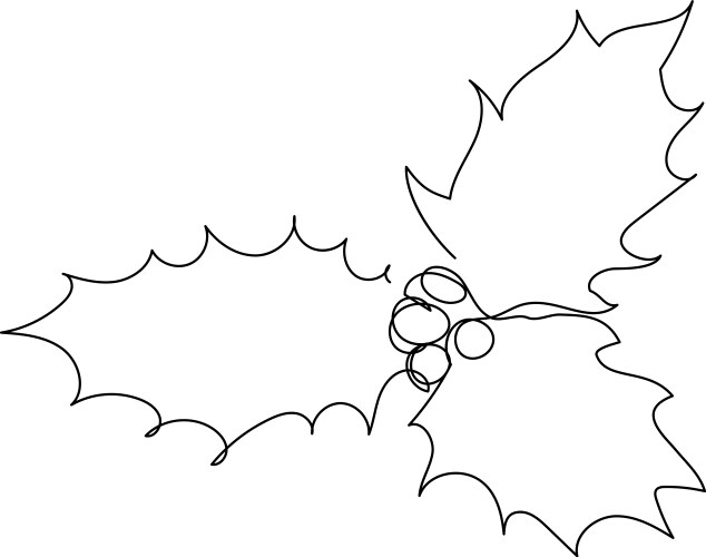 Three holly leaves with berries line art Vector Image