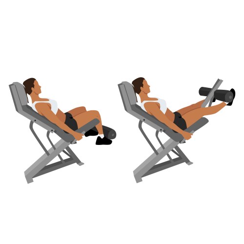 woman doing seated machine leg extensions exercise vector