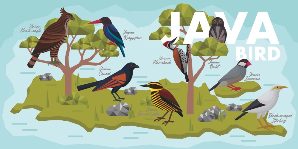 Download Free Vectors & Graphics - VectorStock.com