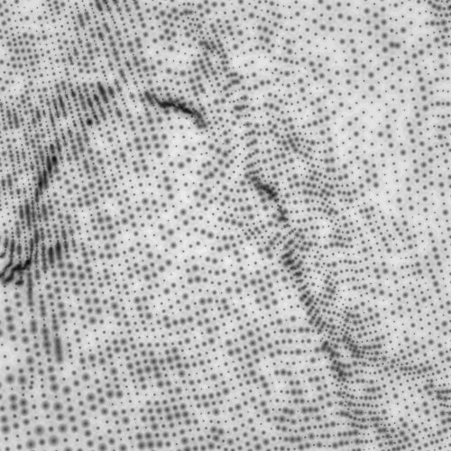 Array with dynamic particles 3d grid texture vector image