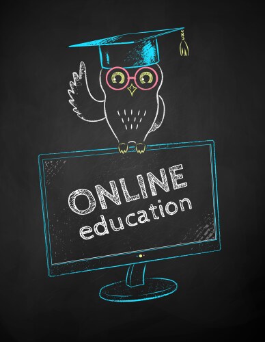 owl in mortarboard sitting on desktop monitor vector image