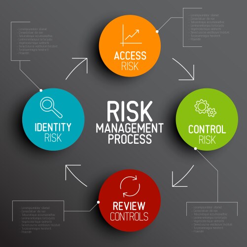 Risk management process diagram schema vector image