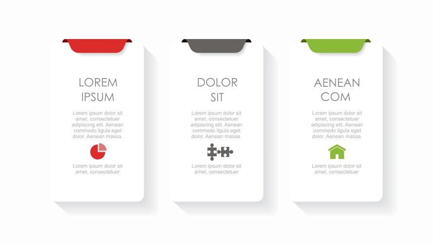 Infographic Template - Data Visualization vector image