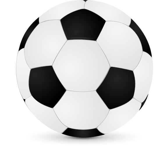 Leather soccer ball Royalty Free Vector Image - VectorStock