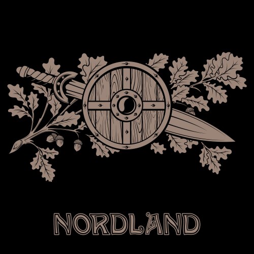 Viking scandinavian design shield vector image