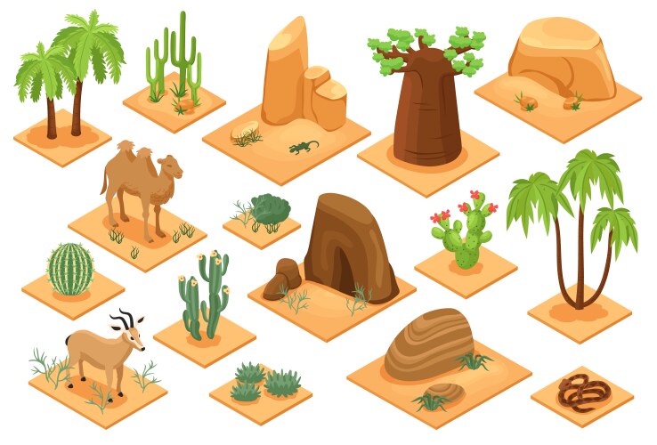 Desert isometric flowchart Royalty Free Vector Image